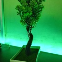 Декоративен изкуствен бонсай в саксия, Зелен, снимка 10 - Стайни растения - 43336759