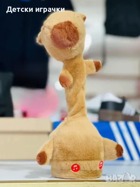 Капибара танцува, повтаря и пее, снимка 1