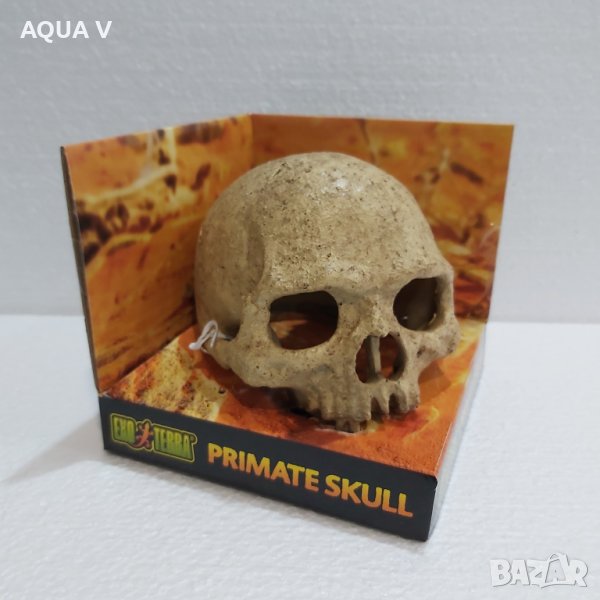 Декорация за терариум, снимка 1