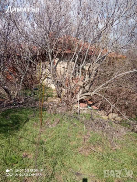 Парцел със стара постройка в с. Оряхово, общ. Любимец, снимка 1