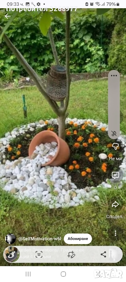 почистване мазета тавани кърти чисти извозва пренасяне на багаж , снимка 1