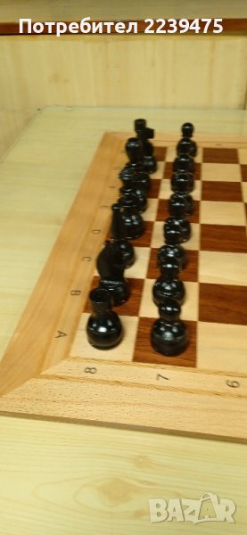 Професионален шах с фигурите, снимка 1