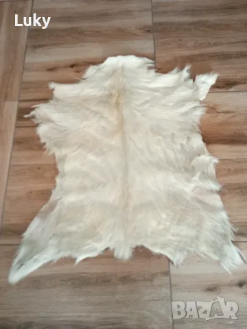 Естествени,интериорни кози кожи--2 бр..Обявената цена е за всичките., снимка 5 - Други ценни предмети - 47348386