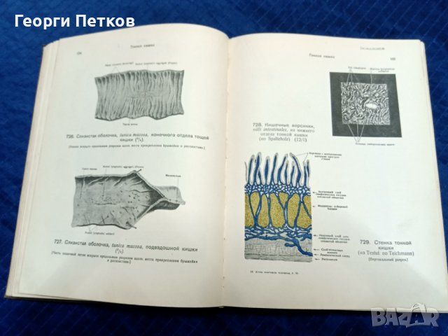 Атлас анатомии человека, снимка 5 - Антикварни и старинни предмети - 43818672