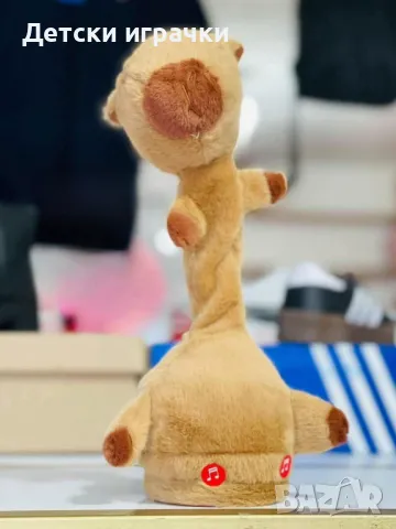 Капибара танцува, повтаря и пее