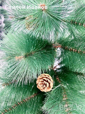 Елха естествено зелена с шишарки, снимка 2 - Декорация за дома - 52215593