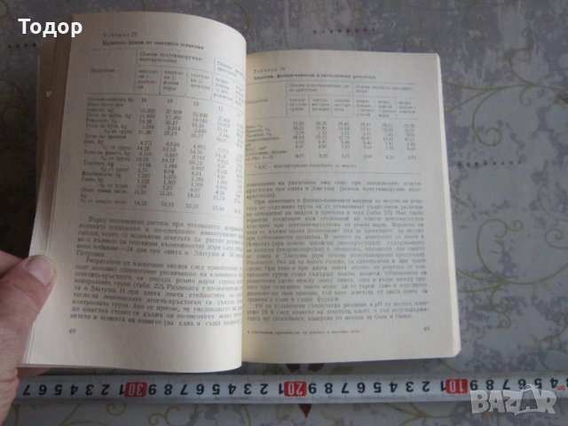 Книга Интензивно производство но агнешко и шилешко месо , снимка 3 - Специализирана литература - 32566837