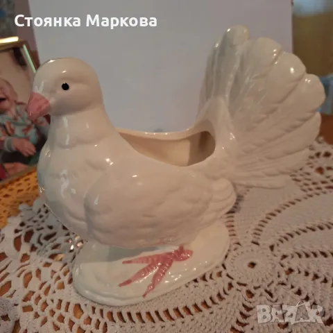 Голям гълъб-кашпа-Тайван