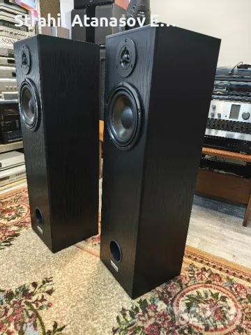 Visaton ALTO II Двулентови Тонколони, снимка 3 - Тонколони - 50282271