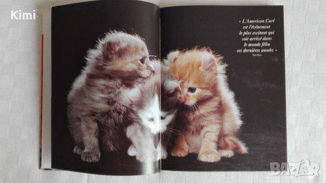 Котешки луксозни албуми, снимка 3 - Други - 26550144