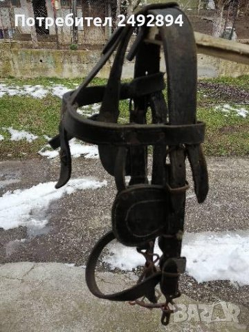 Конски хамут , снимка 12 - Други животни - 37651566