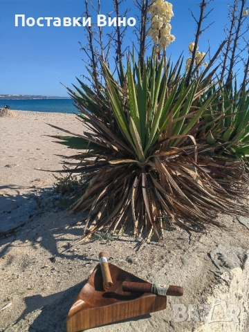 "Морски" пепелник за пури, снимка 4 - Декорация за дома - 52238981