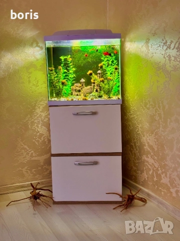 Аквариум 60 литра + шкафчето и рибките, снимка 4 - Аквариуми - 52593333
