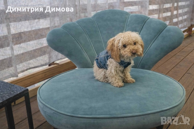 бунгало АКВАМИРА къмпинг Созопол Еко , снимка 11 - Квартири, нощувки - 52867267