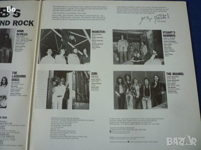 грамофонни плочи Original Punk Rock - live from the CBGB's club, NY, снимка 7 - Грамофонни плочи - 34787698