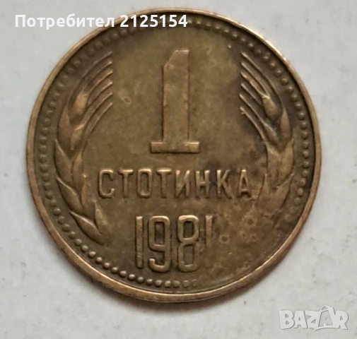 1 стотинка 1981 г.-НРБ,автентична монета., снимка 2 - Нумизматика и бонистика - 51049071