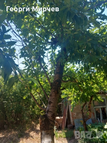 Продавам къща в Перник, кв.Варош -собственик , снимка 11 - Къщи - 52363455