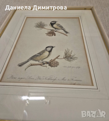 Три рамкирани принта с красиви птици, снимка 5 - Картини - 52466840