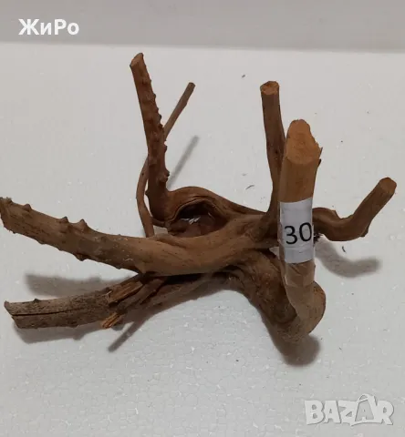 Корен от Азалия /декорация/ 30