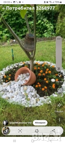 почистване мазета тавани кърти чисти извозва пренасяне на багаж 