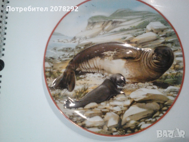 Комплект колекционерски чинии за стена, снимка 9 - Декорация за дома - 53363911