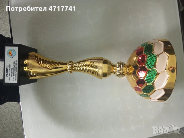 Купа по волейбол- 1 място момичета 7 клас