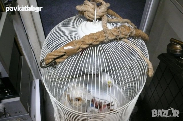 Кафез за папагали, снимка 2 - За птици - 53067197