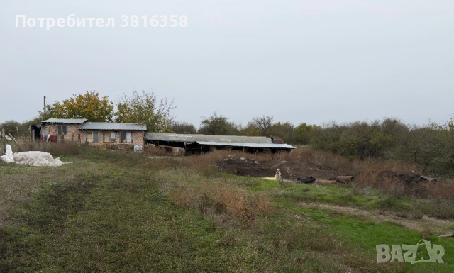 Продавам парцел в с.Веселина, обл. Разград) 4 дка /4100 кв.м., снимка 2 - Парцели - 52250214