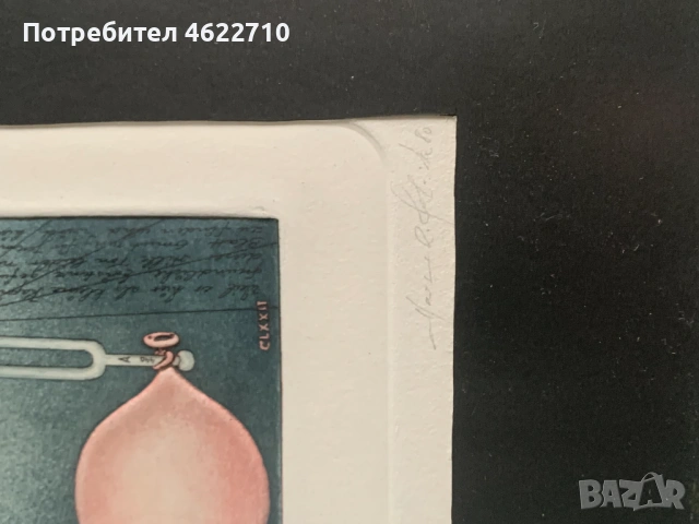 картина отпечатък , снимка 4 - Картини - 53306684