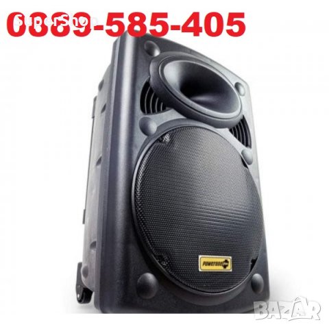 Premium 3000W Караоке Колона Тонколона 15ка с два микрофона микрофон, снимка 4 - Тонколони - 33349421