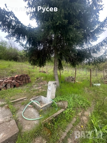 къща / терен / градина / парцел 1472 кв в с. Калипетрово, в близост до центъра / до Добруджанска къщ, снимка 4 - Къщи - 51976050