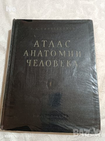 Anatomichen atlas senelnikov, снимка 5 - Антикварни и старинни предмети - 40853587