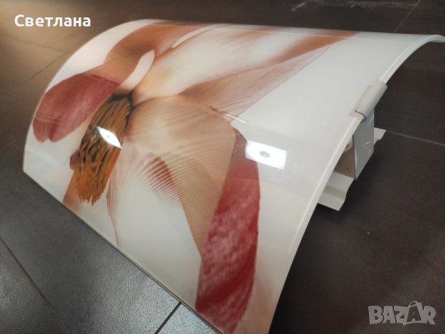 Полилей, снимка 2 - Полилеи - 43872468