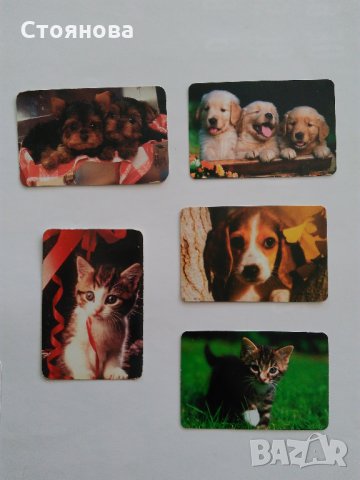 Календарчета - 1991 г., 1994 г.,2003г.,2005 г., 2006 г., 2008 г., 2009 г., 2011 г., 2012 г. 2016 г. , снимка 6 - Колекции - 33070132