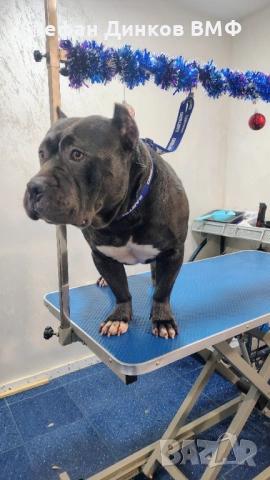 Американско були 