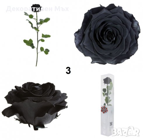 Естествени стабилизирани рози и цвят роза-за дома, подарък, декорация с мъх, снимка 10 - Декорация за дома - 31836873