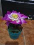 Изкуствени цветя в кашпа, снимка 2