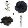 Естествени стабилизирани рози и цвят роза-за дома, подарък, декорация с мъх, снимка 10