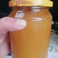 Пчелен Мед , снимка 2 - Пчелни продукти - 39001383