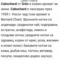 Дамски парфюм "Cabochard de Gres" / 100ml EDT , снимка 7 - Дамски парфюми - 43498849