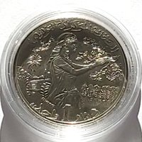 Перфектна монета, ТУНИС   -  1  динар  (2007-1428), снимка 8 - Нумизматика и бонистика - 43523172