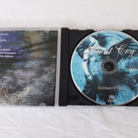 SILENT CRY – Goddess Of Tears (2000), снимка 3 - CD дискове - 28259898