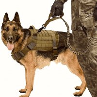 Тренировъчна , тактическа жилетка за кучета, снимка 1 - За кучета - 32369059