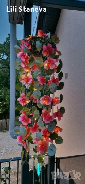 Соларна висяща саксия, с LED осветление Living & Garden – 60 LED, топло,бяло. , снимка 1