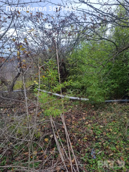 Парцел с. Кичево, снимка 1