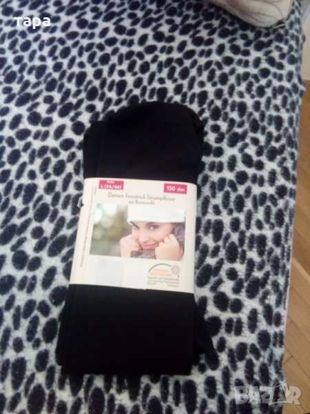 Зимен чорапогащник, снимка 1