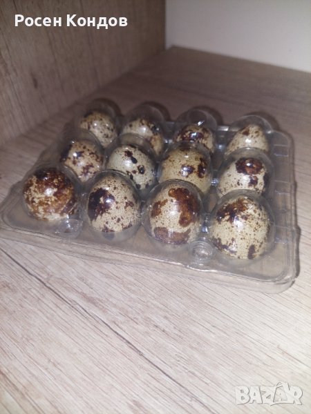 Домашни пъдпъдъчи яйца в Домашни продукти в гр. Варна - ID43057712 ...