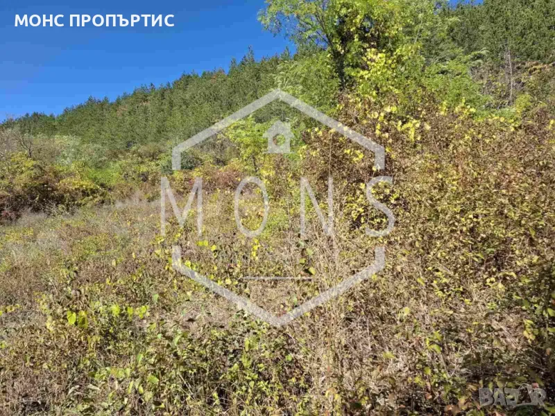 Поземлен имот за продажба в с. Присово, обл. В. Търново, снимка 1