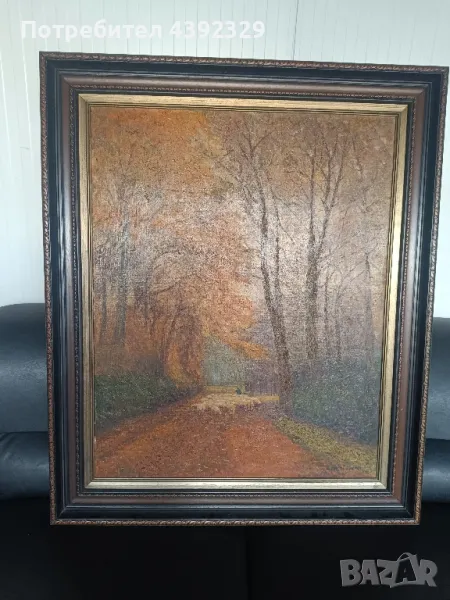 голяма картина с пейзаж Платно!!!, снимка 1