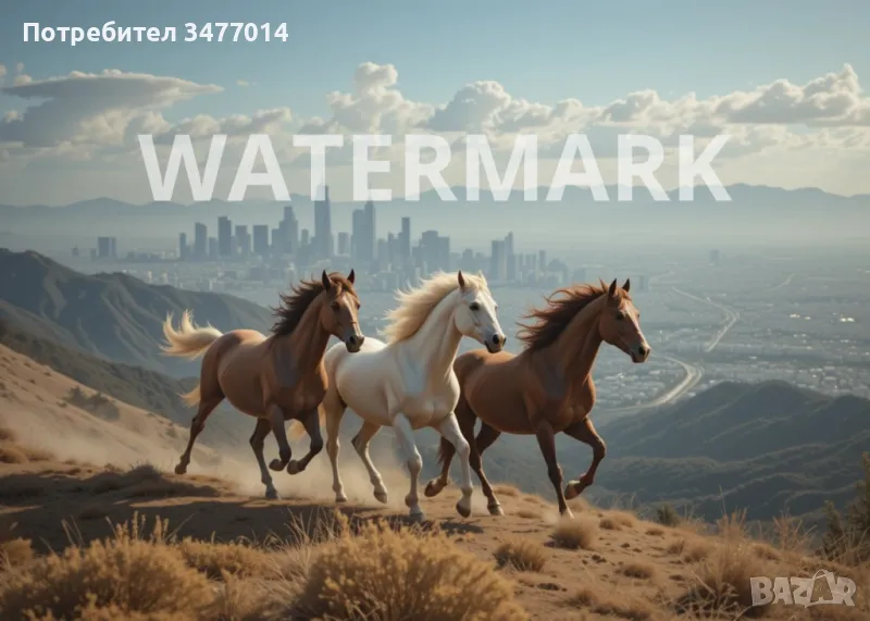 Картина с бягащи коне, пвц пано 5мм, различни размери, снимка 1